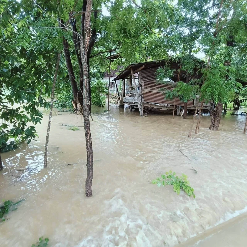 catalogs_file_466_52_55_84957.webp